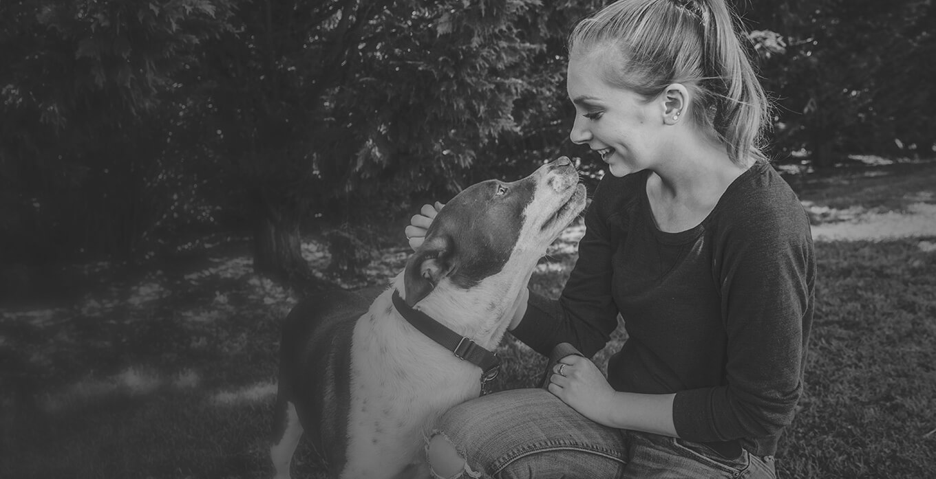 Executive Director, Brad Shear, Elected Board Chair for The Association for Animal Welfare Advancement